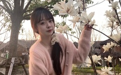 狂飙电视剧40集在线观看免费高清